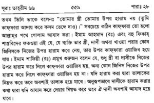 দাসী মারিয়া আল কিবতিয়া 8