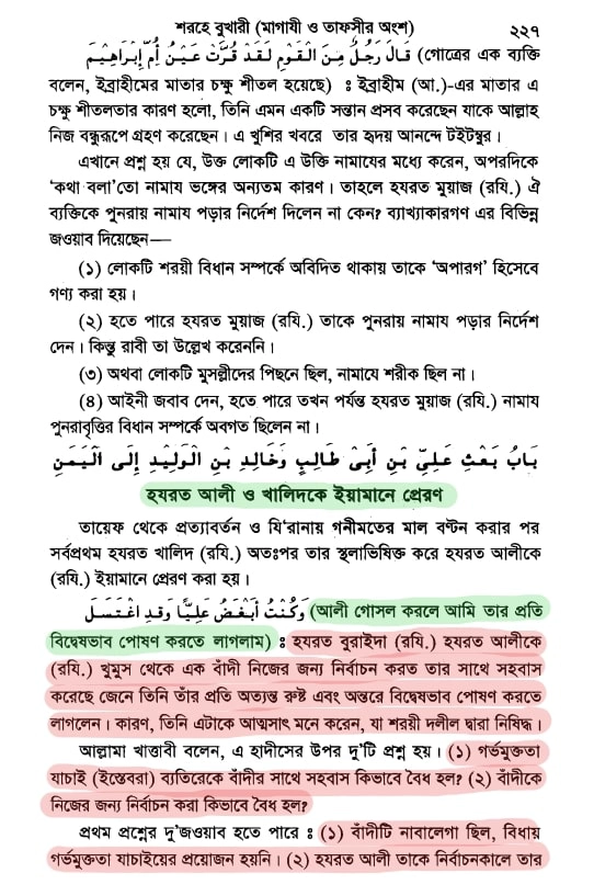 12.আলীর নাবালিকা দাসী ধর্ষণ 2 শরহে বুখারী