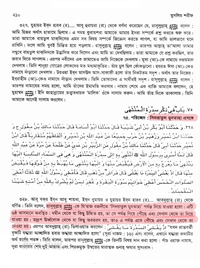 সিদরাতুল মুনতাহা | সাত আসমানের বৃক্ষ 8 সিদরাতুল মুনতাহা 7