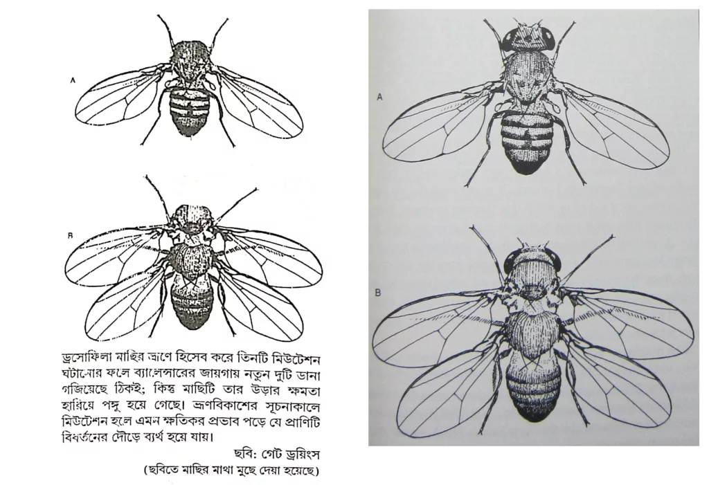 'হোমো স্যাপিয়েন্স' থেকে চৌর্যবৃত্তির দশটি নিদর্শন 25 হোমো স্যাপিয়েন্স 24