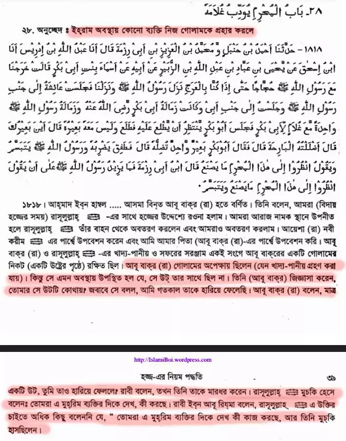 23.মুমিনের যুক্তিঃ দাসদাসীকে প্রহার করা হারাম? 3 আবু বকর দাসকে প্রহার করলো