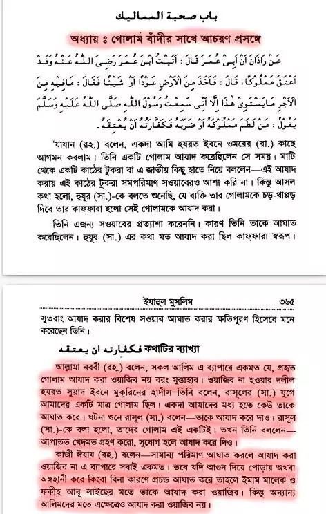 23.মুমিনের যুক্তিঃ দাসদাসীকে প্রহার করা হারাম? 1 গোলাম বাঁদীর সাথে আচরণ
