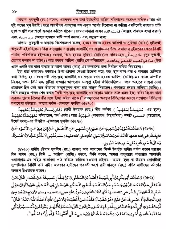 ইহুদীকন্যা সাফিয়ার না-বলা গল্প 44 গল্প 43