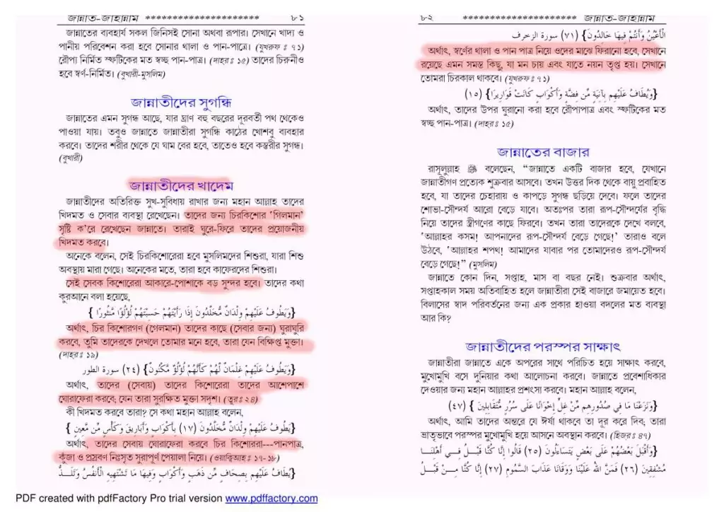 04.ইসলামী জান্নাতে গেলমান ভোগ গেলমান