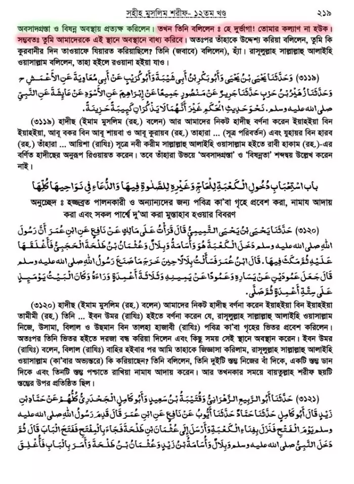 ইহুদীকন্যা সাফিয়ার না-বলা গল্প 48 গল্প 47