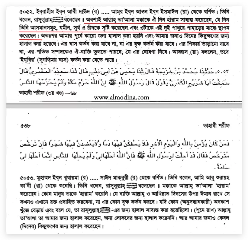 ইসলাম এবং বিজ্ঞান শিক্ষার দ্বন্দ্ব 26 বিজ্ঞান 25