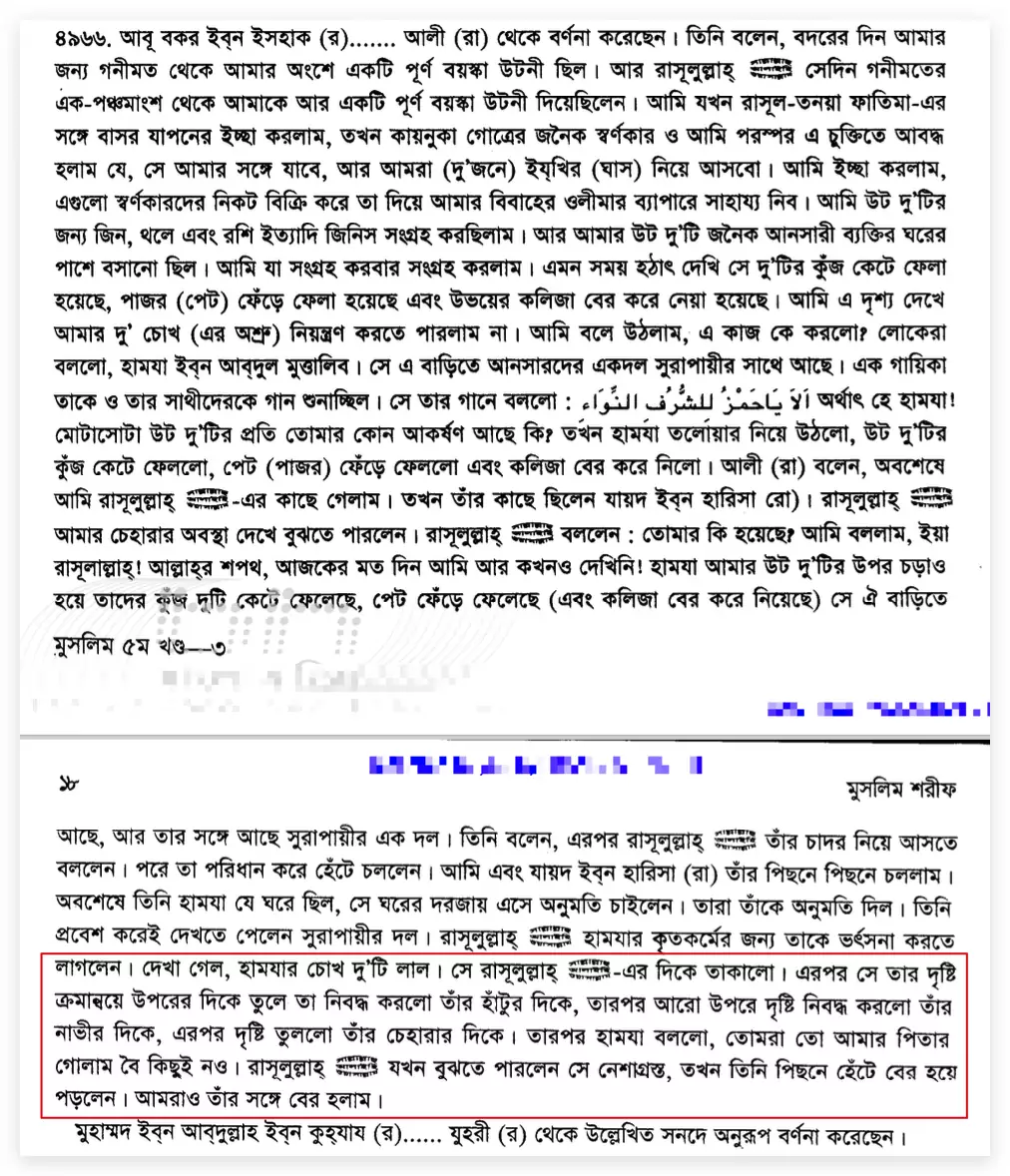 15.নবীকে হামযার গোলাম বলে গালি হামযা