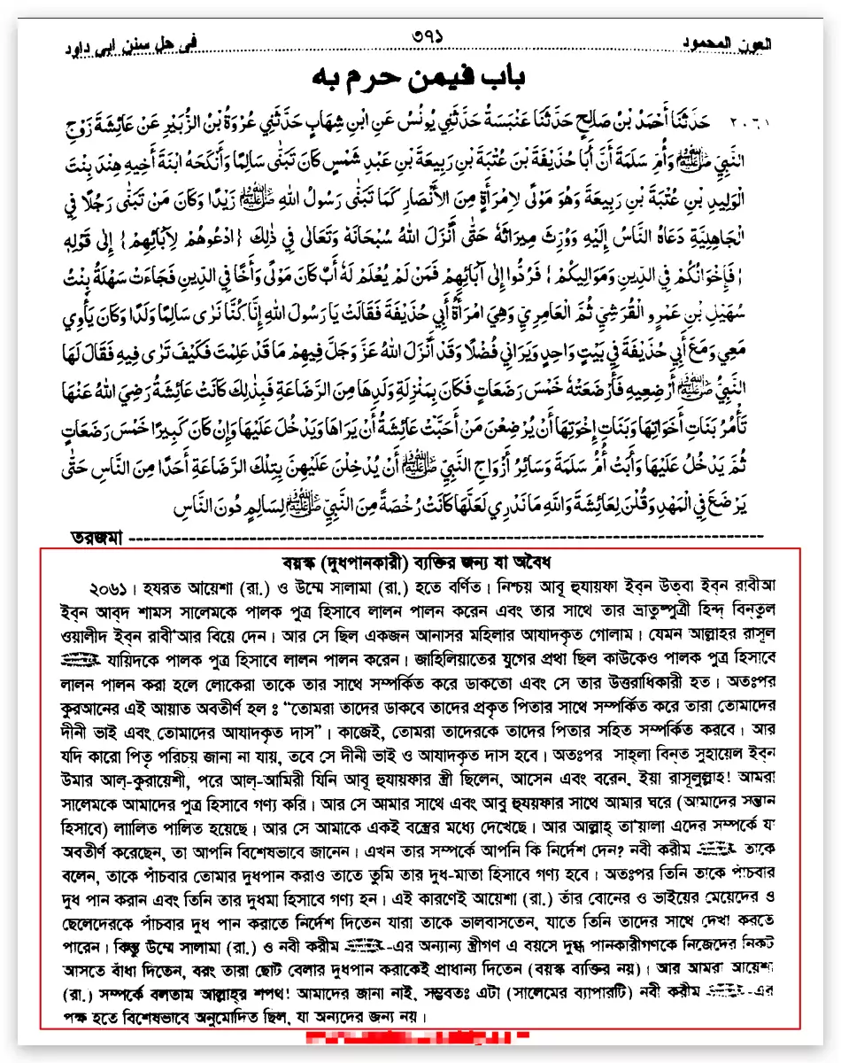 কোরআন সংকলন এবং পরিমার্জনের ইতিহাস 46 কোরআন 45