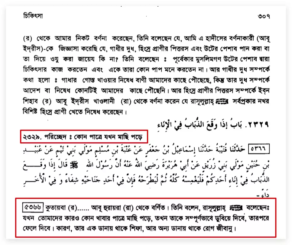মাছি