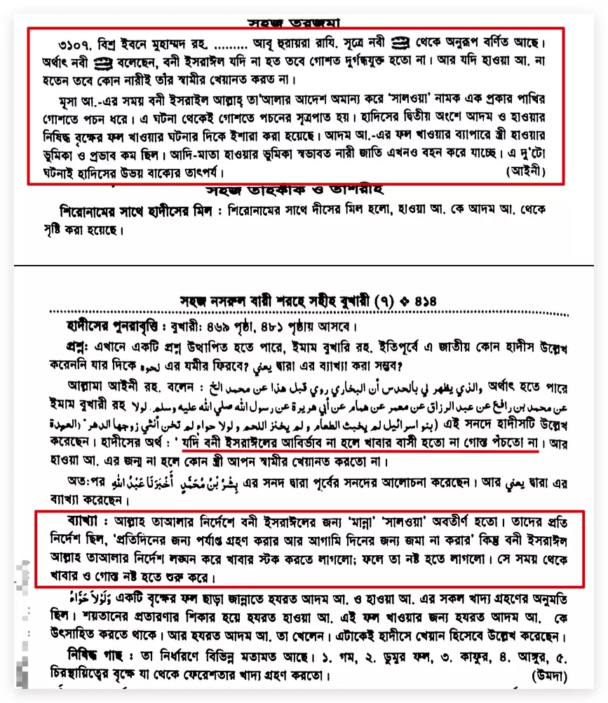 08.মাংসে পচন ধরার শুরু পচন