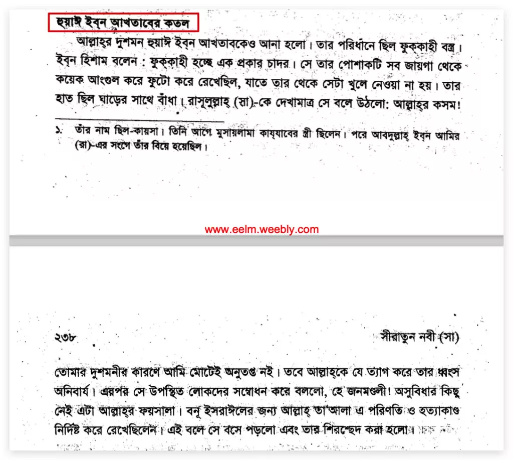 ইহুদীকন্যা সাফিয়ার না-বলা গল্প 26 গল্প 25